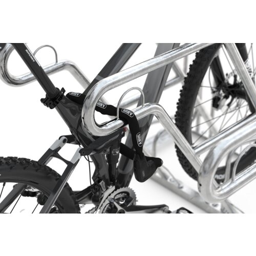 Anlehnparker Typ 4600 XBF Stellplätze 2