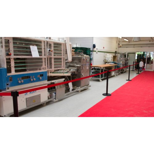 Personenleitsystem P-Line Famous Safety aus Kunststoff, Gurtlänge 2,3m