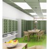 Kleinfachschrank 10 Fächer mit Schrägdach