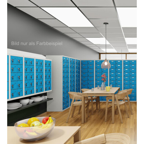 Kleinfachschrank 20 Fächer Korpus Lichtgrau RAL 7035 Türen Lichtblau RAL 5012 Türen mit Plexiglaseinsatz