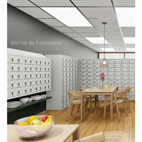 Kleinfachschrank 20 Fächer Korpus Lichtgrau RAL 7035 Türen Lichtblau RAL 5012 Türen mit Plexiglaseinsatz