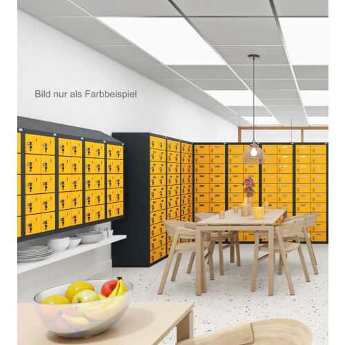 Kleinfachschrank 20 Fächer Korpus Lichtgrau RAL 7035 Türen Enzianblau RAL 5010 Türen mit Plexiglaseinsatz