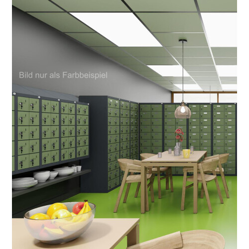 Kleinfachschrank 20 Fächer Korpus Lichtgrau RAL 7035 Türen Enzianblau RAL 5010 Türen mit Plexiglaseinsatz
