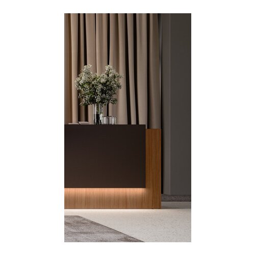 Empfangstheke Singlemodul