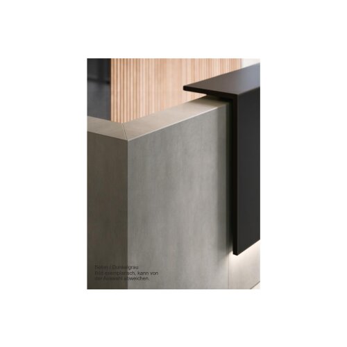 Empfangstheke Singlemodul