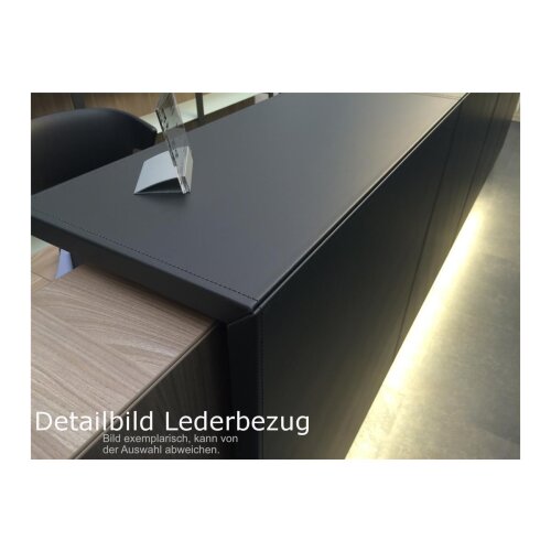 Empfangstheke Singlemodul