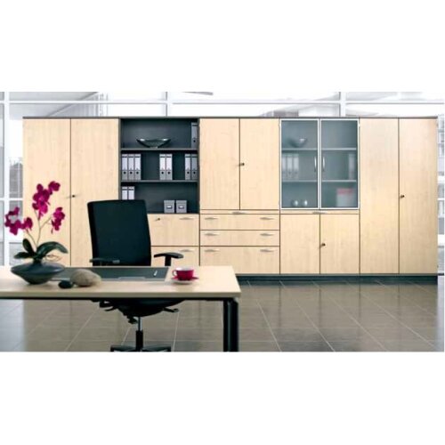 Aktenschrank mit Glastüren, 2 Ordnerreihen, 80 cm breit