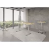 Konferenztisch elektrisch höhenverstellbar Eco