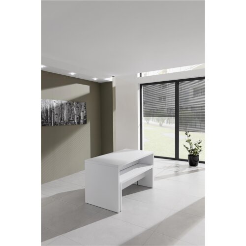 Set aus Bistrotisch +2 Bistrobänken weiß