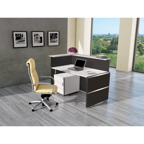 Empfangstheke 430 cm mit Beratungsplatz mittig