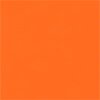 Reinorange RAL 2004